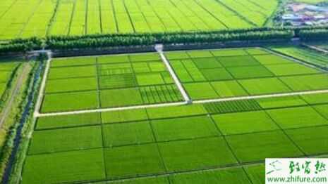 2015年农业发展趋势：土改拉开序幕，中国农业步入快速转型期