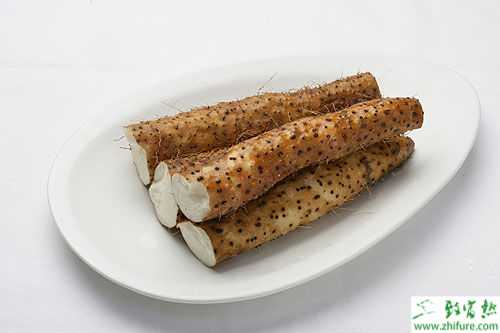 2014种山药赚钱吗