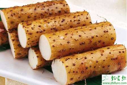 种山药要高产必须抓关键