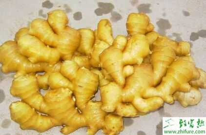 2015几个特色蔬菜种植品种推荐