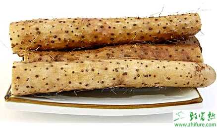 种山药高畦的栽培技术