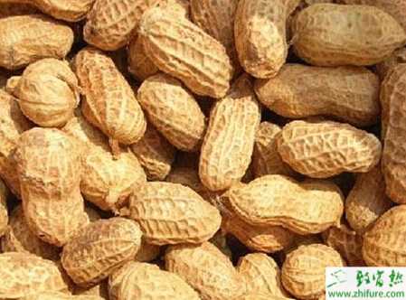 种秋花生防治病虫害