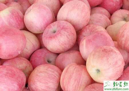 种苹果之盛果期苹果园如何施肥