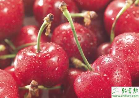 种樱桃不结果咋办