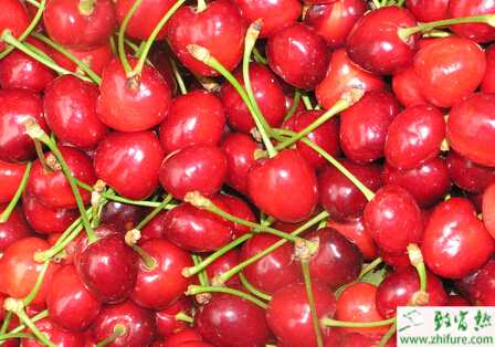 种无公害樱桃施肥四法