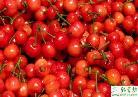 种棚室樱桃越夏管理措施