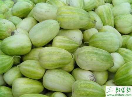 香瓜得蔓枯病后该怎么办？