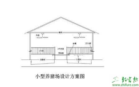 小型养猪场怎么建设？有哪些需要注意的？
