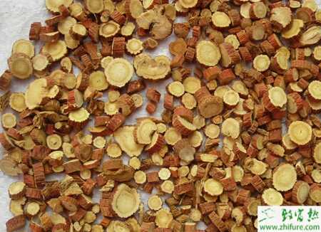 种甘草繁殖方法