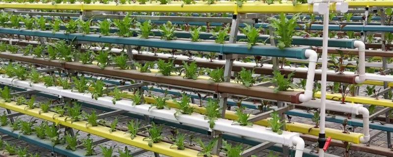 无土栽培营养液配方怎么调制，不同作物种类的营养液配方各不相同