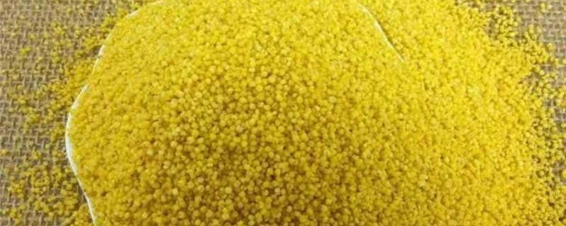 能量饲料具体包括哪些种类，它们的主要分类和特点是什么