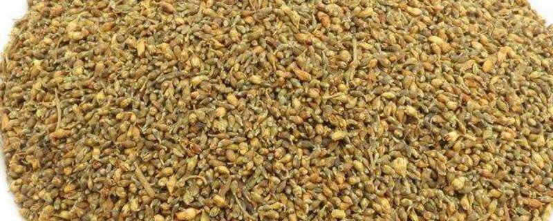 现在的槐米多少钱一斤，关于槐米的历史价格行情和影响它的价格因素有哪些