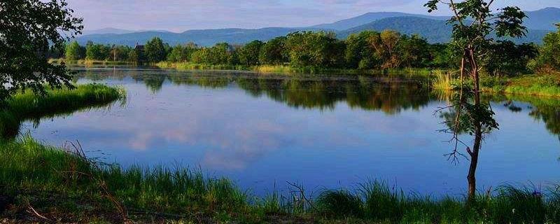 推荐一些养殖业中风险小的项目