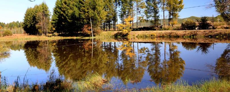 在农村养殖什么项目回本速度快，请务必根据自己的实际情况来选择合适项目