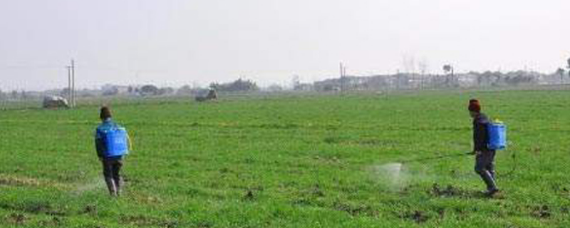 灭草松除草剂适用于哪些具体作物，应该怎么正确使用效果才更好