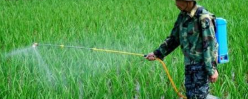 二甲灭草松应该如何正确使用，附上二甲灭草松的详细属性简介