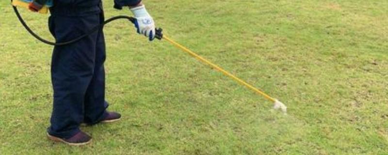 常见的草坪除草剂种类有哪些，请问这些除草剂具体应该怎么使用