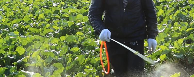 辛菌胺醋酸盐在使用过程中有哪些注意事项，以及辛菌胺醋酸盐具备什么特点