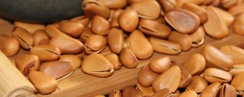 如何将生松子炒开口呢？，松子现在多少钱一斤的价格？