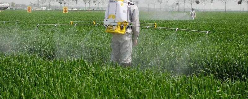 肟菌戊唑醇具体应该如何使用，附带其基本概况介绍与详细使用注意事项