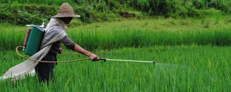 哪些药物不能够与四霉素一起混配，附带详细的四霉素使用注意事项