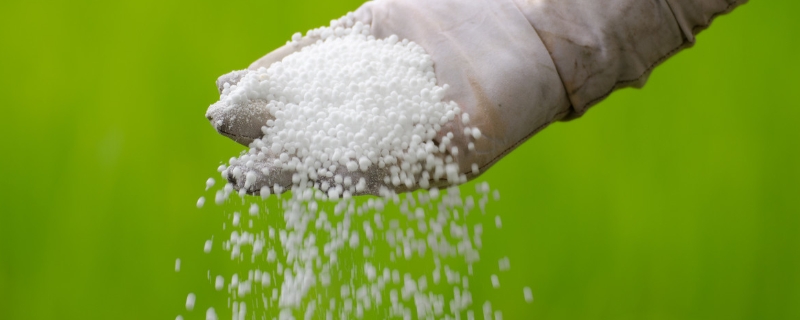 农业生产过程中常见的5种普遍化肥应用禁忌，这些常见的化肥到底该怎样正确使用呢