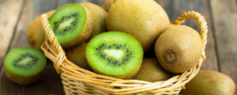 今年猕猴桃的平均售价每斤会是多少钱，猕猴桃种植前景的详细分析
