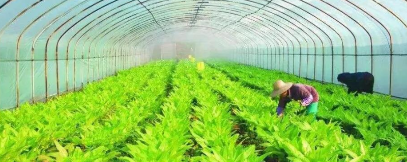 最常见的生态循环农业模式有哪些，主要包括以下这六种具体类型
