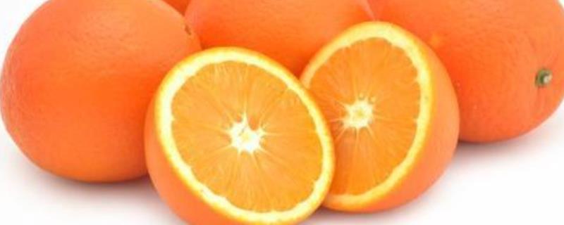 纽荷尔脐橙的种植技术有哪些，注意在雨季的时候要及时进行排水