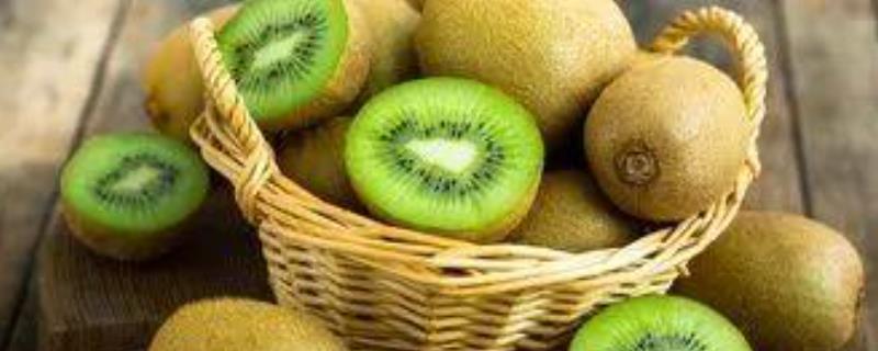 奇异果是在什么季节成熟的水果，这种水果到底有哪些具体的品种种类