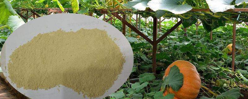 大田作物的硼肥施用技术有哪些，农作物缺硼的具体症状是什么