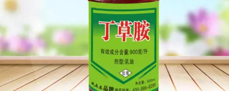 丁草胺的使用注意事项有哪些，丁草胺到底是什么药剂