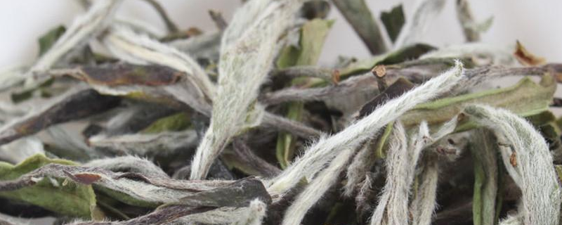 白茶到底属于什么茶类，白茶具体的功效作用有哪些