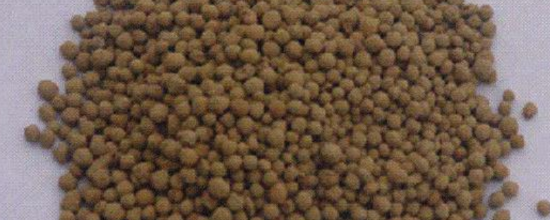 硅肥在农业中具体有哪些重要的作用，主要体现在以下几个关键的方面