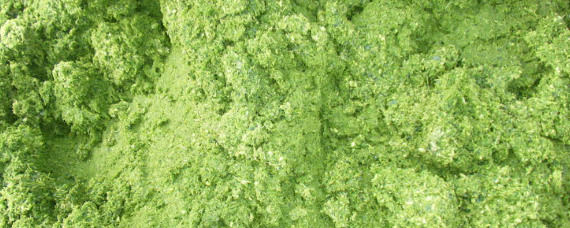 有哪些具体的自制益生菌生物饲草配方方案，针对这些配方的详细介绍有哪些