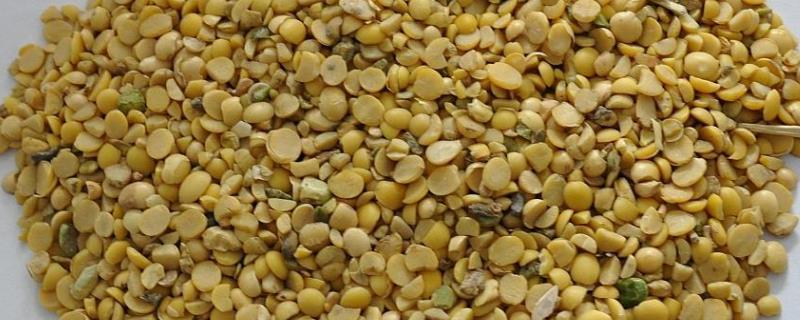 养殖户选购配合饲料存在哪些常见误区，需注意并不是蛋白质含量越多就越好