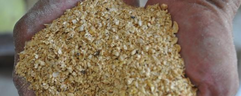 杂粕代替豆粕具体有哪些问题，主要表现为以下六个方面