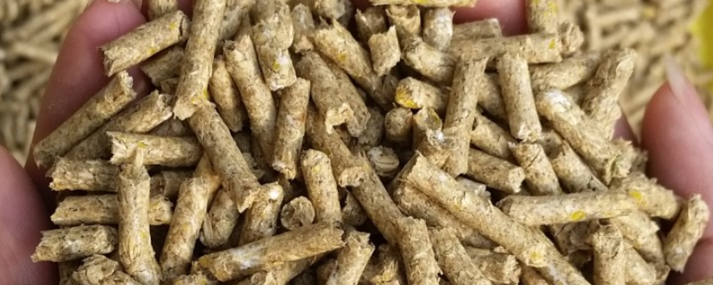 养殖户在选购饲料时具体应当注意哪些关键问题，主要涵盖了以下五个核心要点