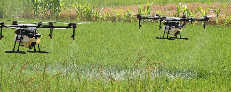 生物农药相比于传统农药有哪些具体优势，生物农药与化学农药之间存在着本质的区别