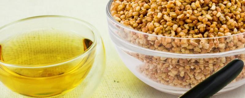 苦荞茶到底是什么，它的营养价值及其对身体的益处