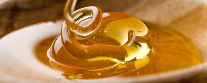 什么是桐花蜜，为您做详细介绍