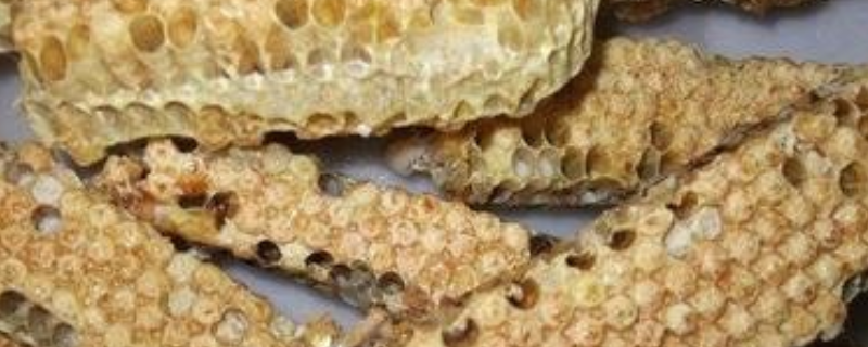 蜜蜂蛹病也就是常说的死蛹病如何辨别，附带其具体的综合防治方法有哪些