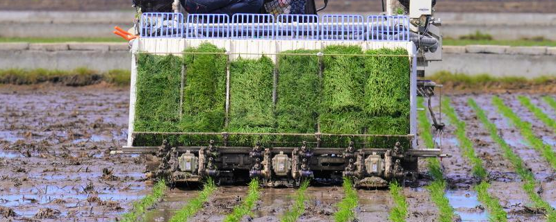 插秧机的故障如何进行维修与排除，具体的维修注意事项究竟有哪些