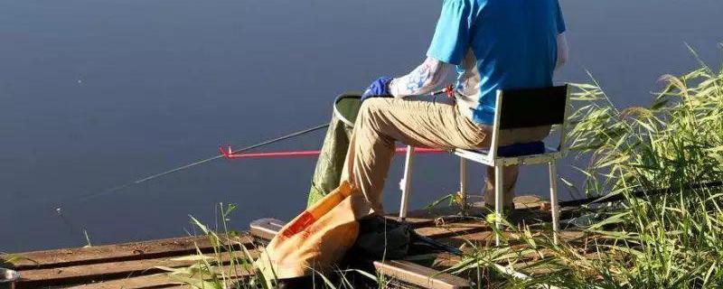 战斗竿和大物竿到底有什么区别，它们具体的竿型特点有哪些