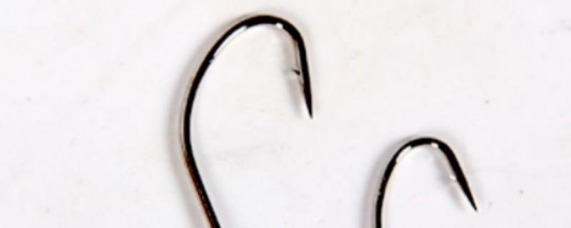 白狐钩和秋田狐钩具体有什么不同，它们分别适合钓哪些鱼种