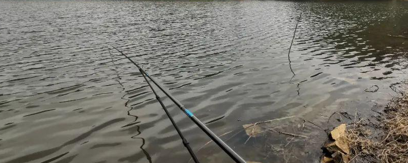 大物竿的重量和长度一般在什么范围比较好用，在使用过程中有哪些需要注意的事项