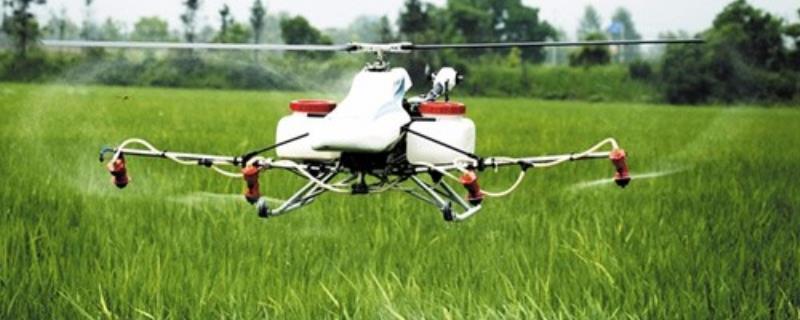 夏季发生农药中毒该怎么办，附带农药中毒的具体症状有哪些