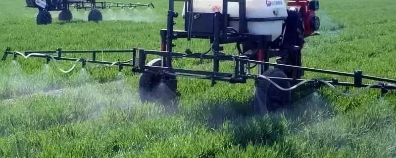 井冈霉素用来打蔬菜究竟可行吗，这种井冈霉素的主要特点具体是什么