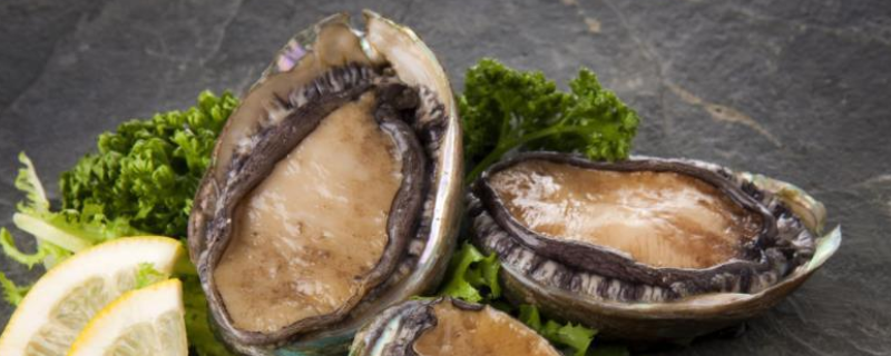鲍鱼身上绿色的部位具体叫什么，鲍鱼到底具备哪些方面的营养价值