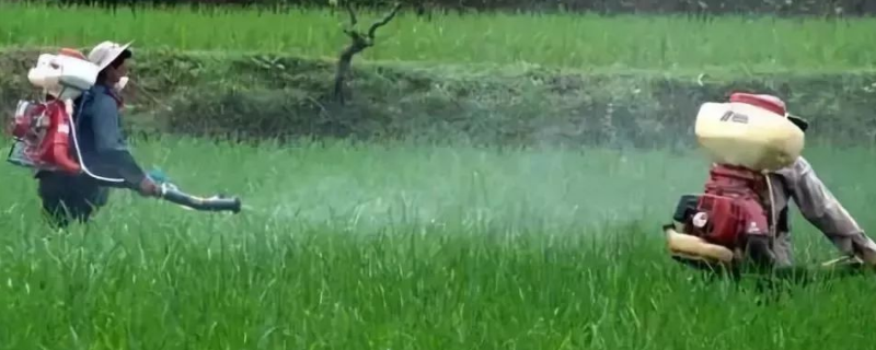 农药减量具体有什么重大意义，农药在实际操作中该怎么科学使用